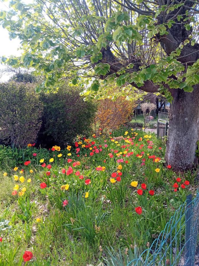 Rosalie Cottage Beaurepaire  Kültér fotó