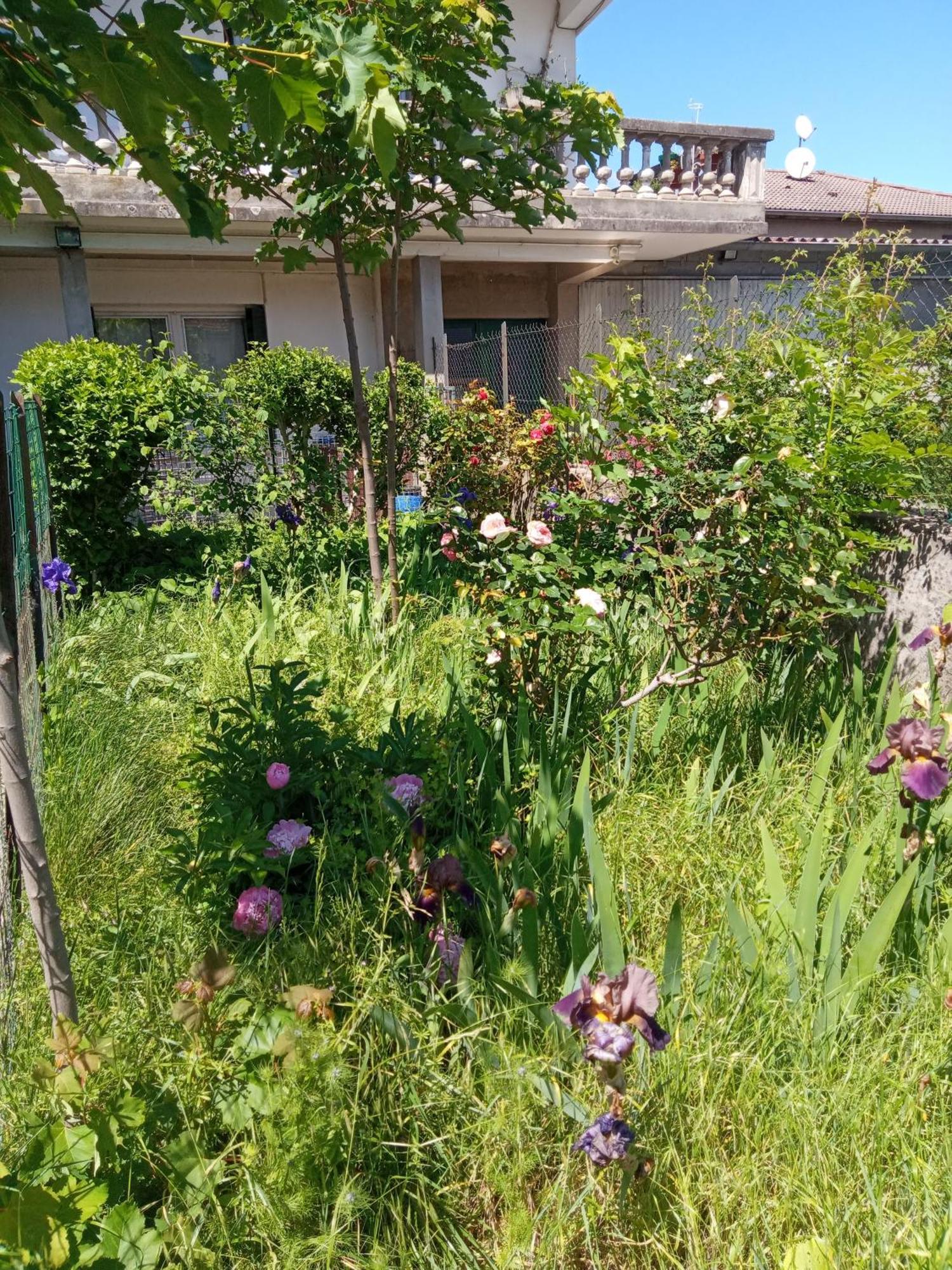 Rosalie Cottage Beaurepaire  Kültér fotó